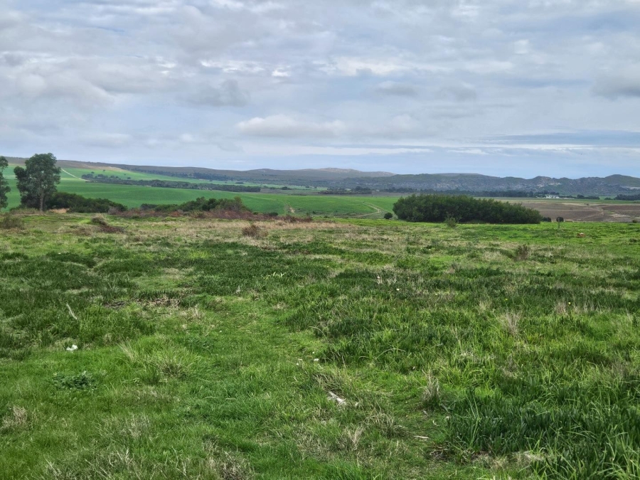 0 Bedroom Property for Sale in Baardskeerdersbos Western Cape